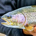 Drill Team 6 Fishing Excursions, LLC