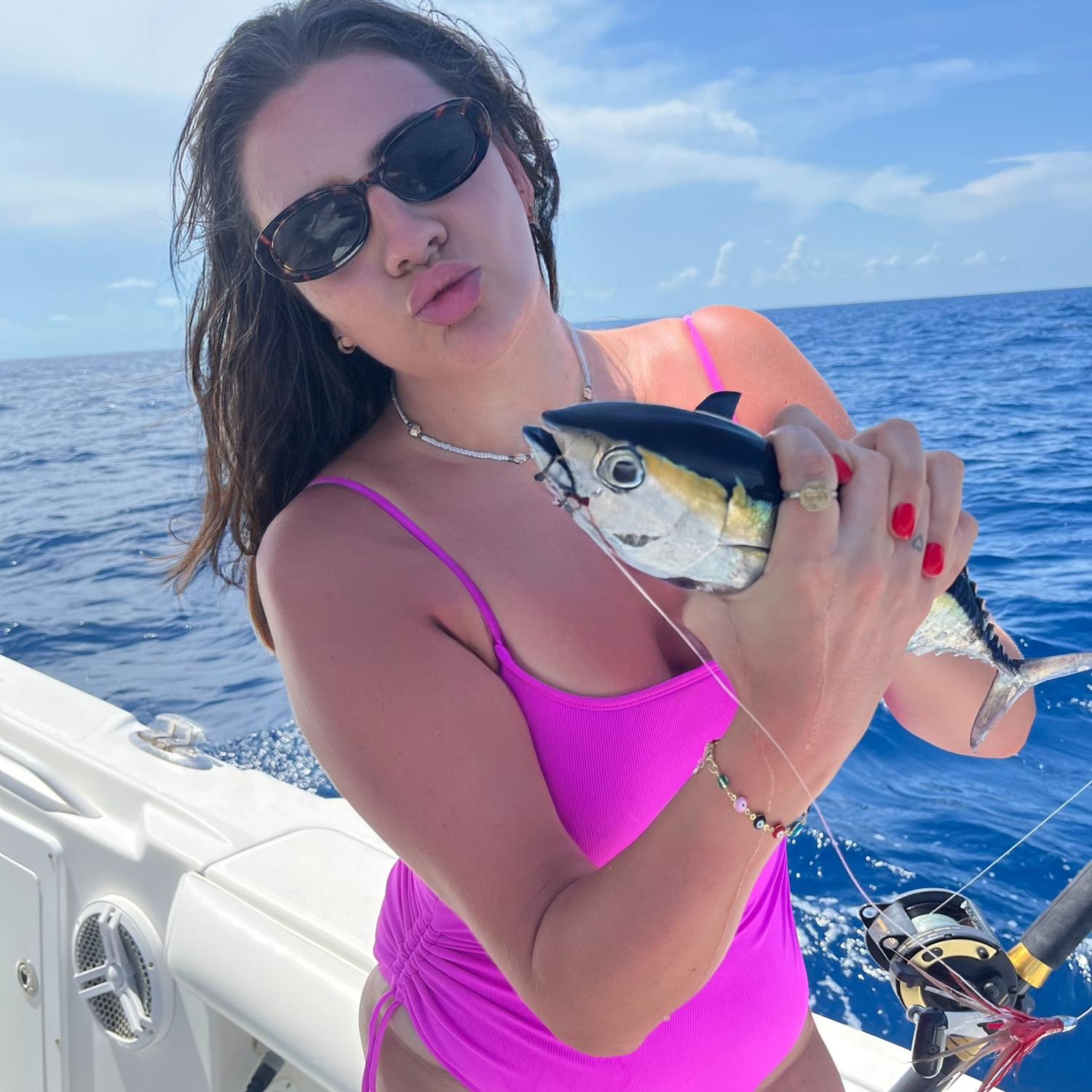 Tiny Blackfin tuna
