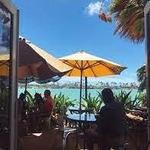 Island Brew Coffeehouse