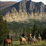 Horse Back Riding