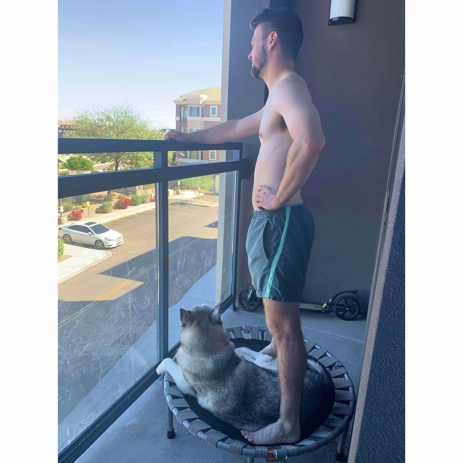 Morning rebounder sessions with Flash