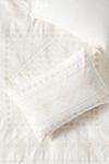 Embroidered Daisia Shams, Set of 2