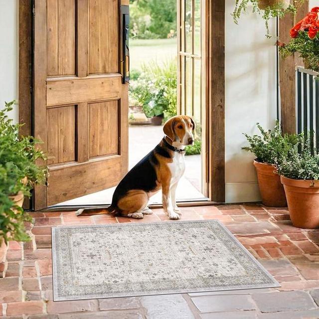 Boho Light Grey 2x3 Entryway Rug - Modern Vintage Eclectic Floral Pastel Neutral Taupe, Washable Low Pile Non-Slip Small Throw Area Rugs for Door Mat Indoor Entrance, Kitchen Bathroom Bedroom Laundry