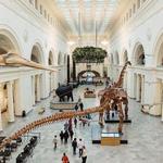 Field Museum