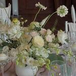 Flowers and Decorations: Flutterbys