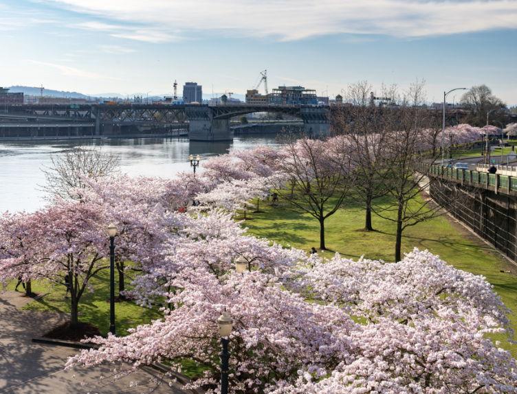 The Wedding Website of Rachel Santos and Roberto Rodriguez