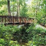 Jemison Park Walking Trail