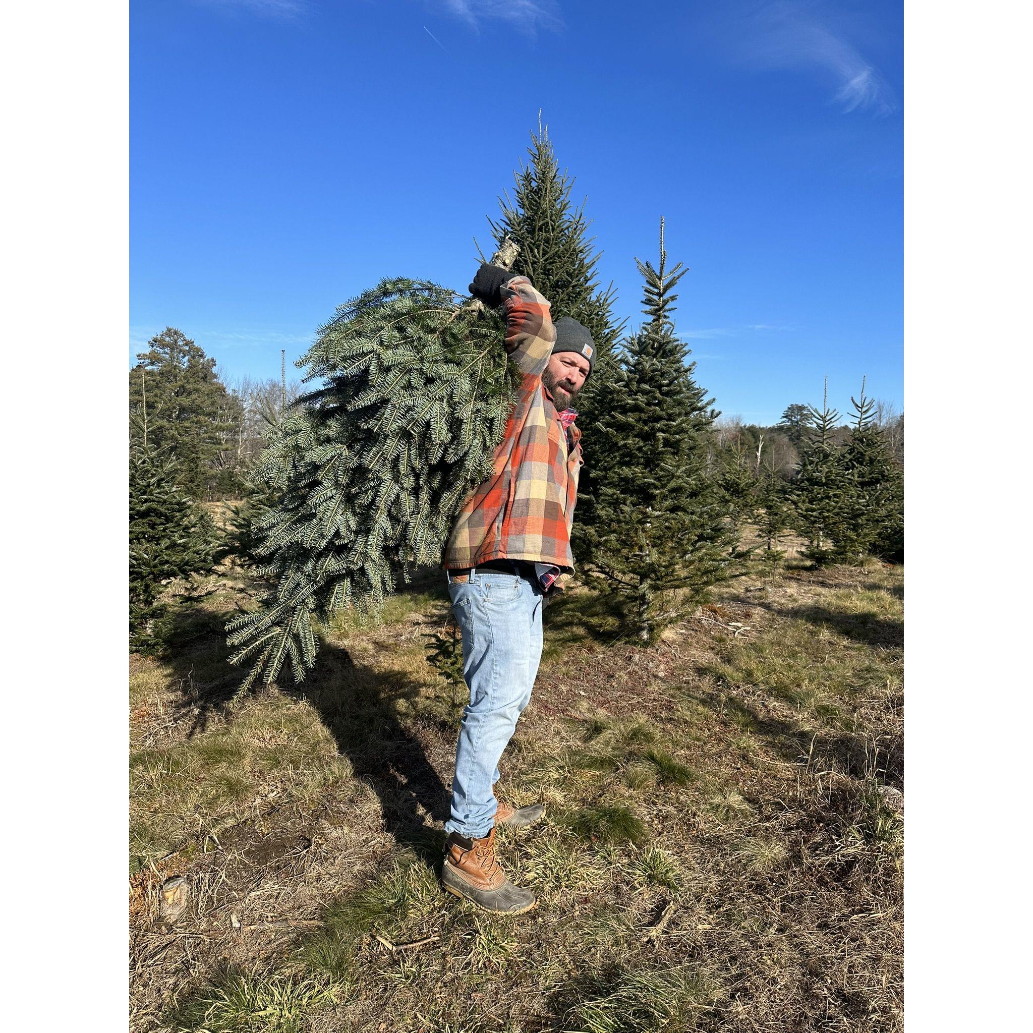 first Christmas in our house 2023!