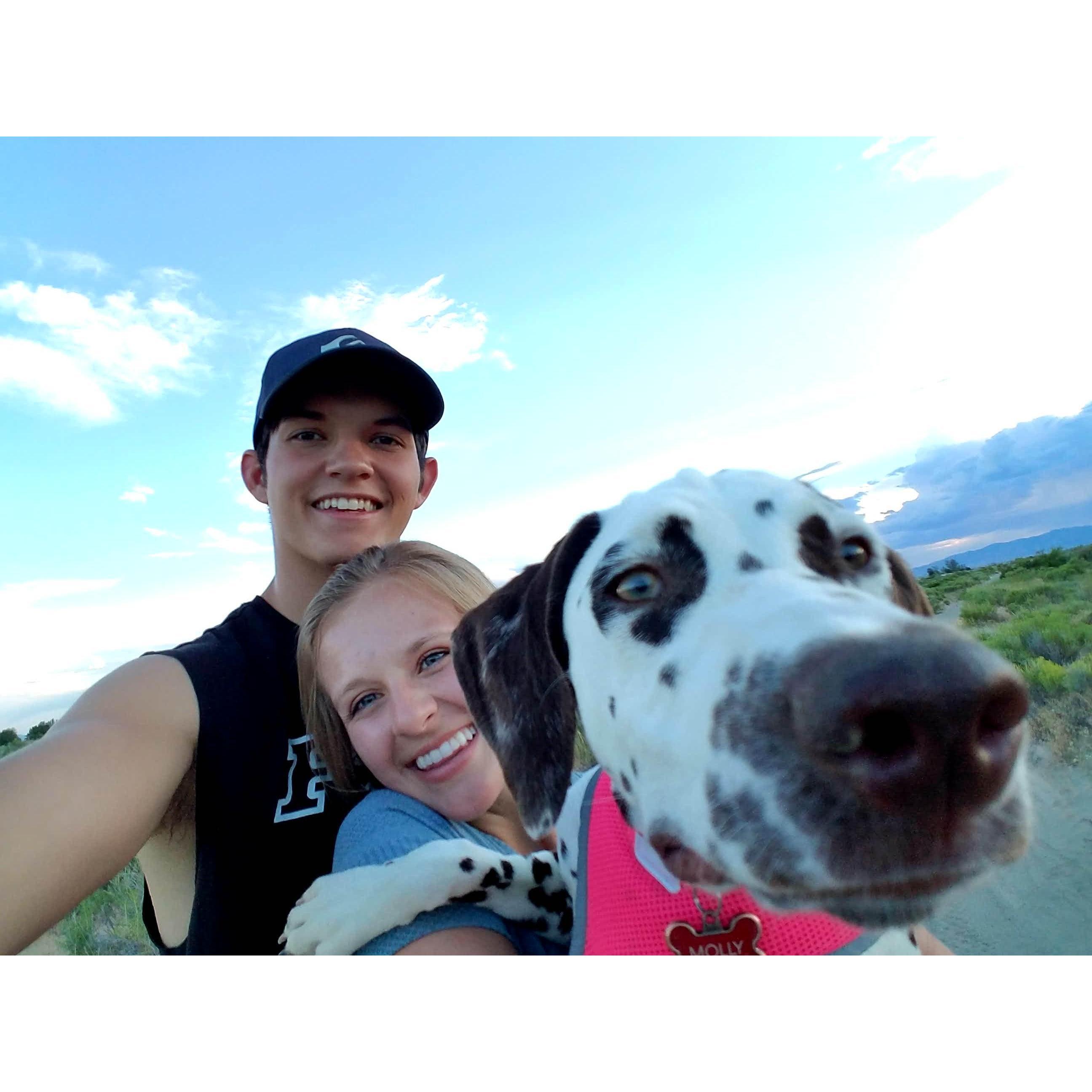 We got a puppy back in 2017!