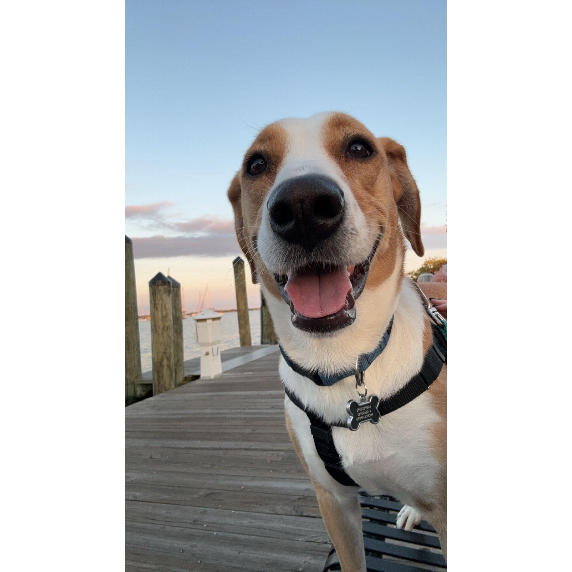 Our first dog together :)