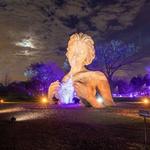 The Morton Arboretum