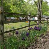 Whittemore - Community, Culture & Conservation