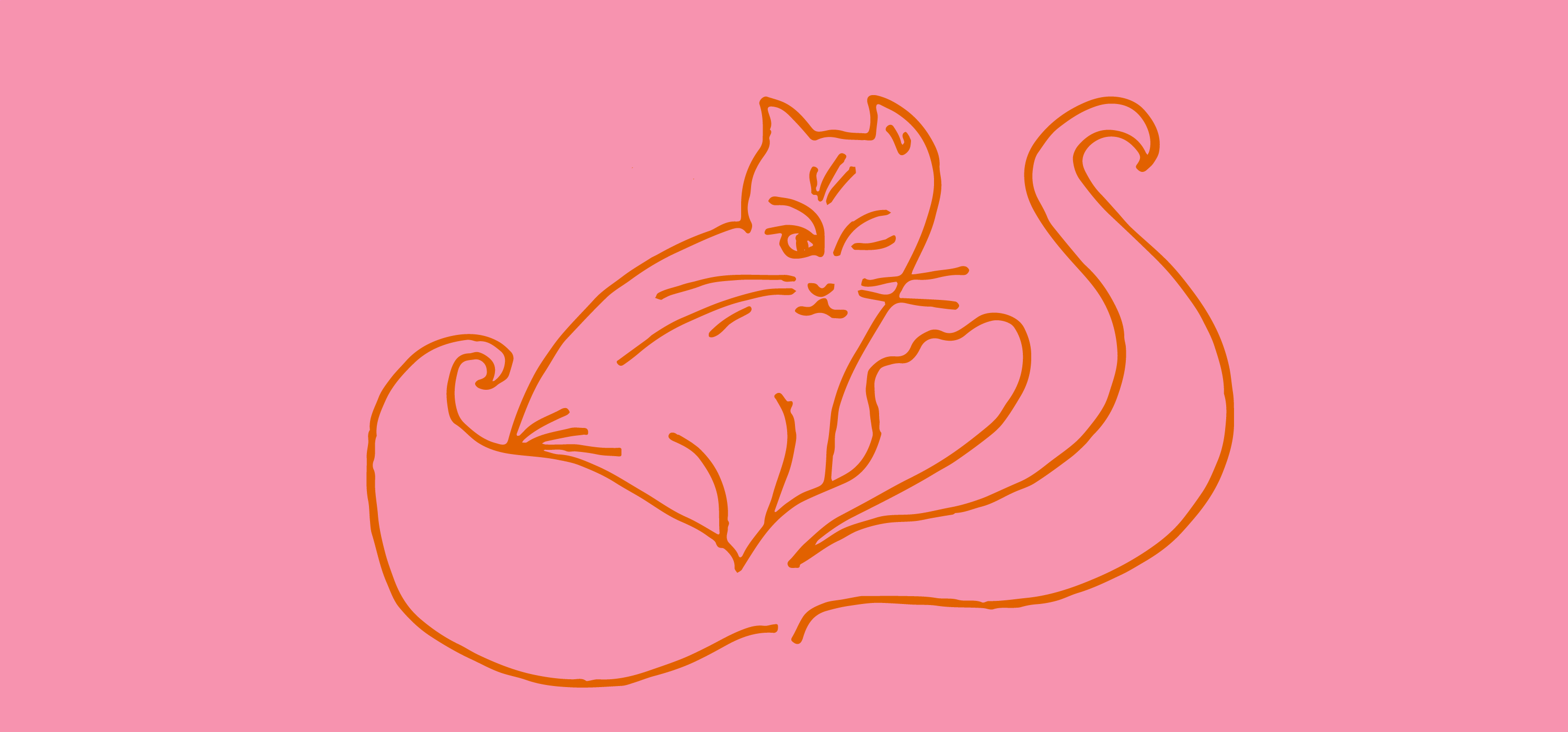 The Wedding Website of Julia Lipovsky and Jon Flannery