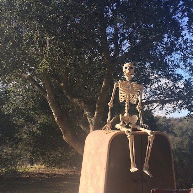 "Spooky camping" February 7th, 2016.