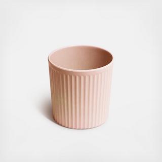 Brush Cup