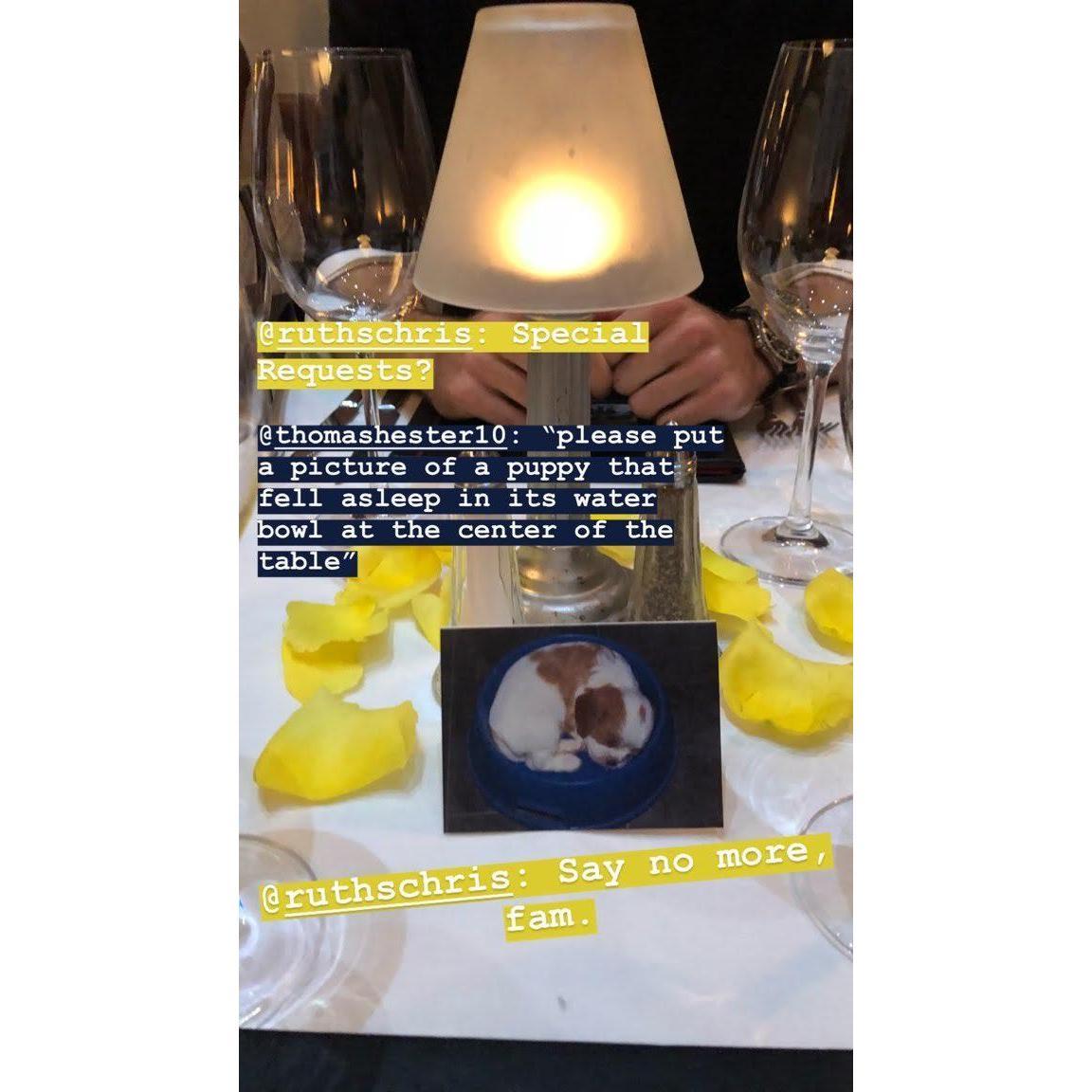 The puppy dog that Ruth Chris placed at Alex's seat!