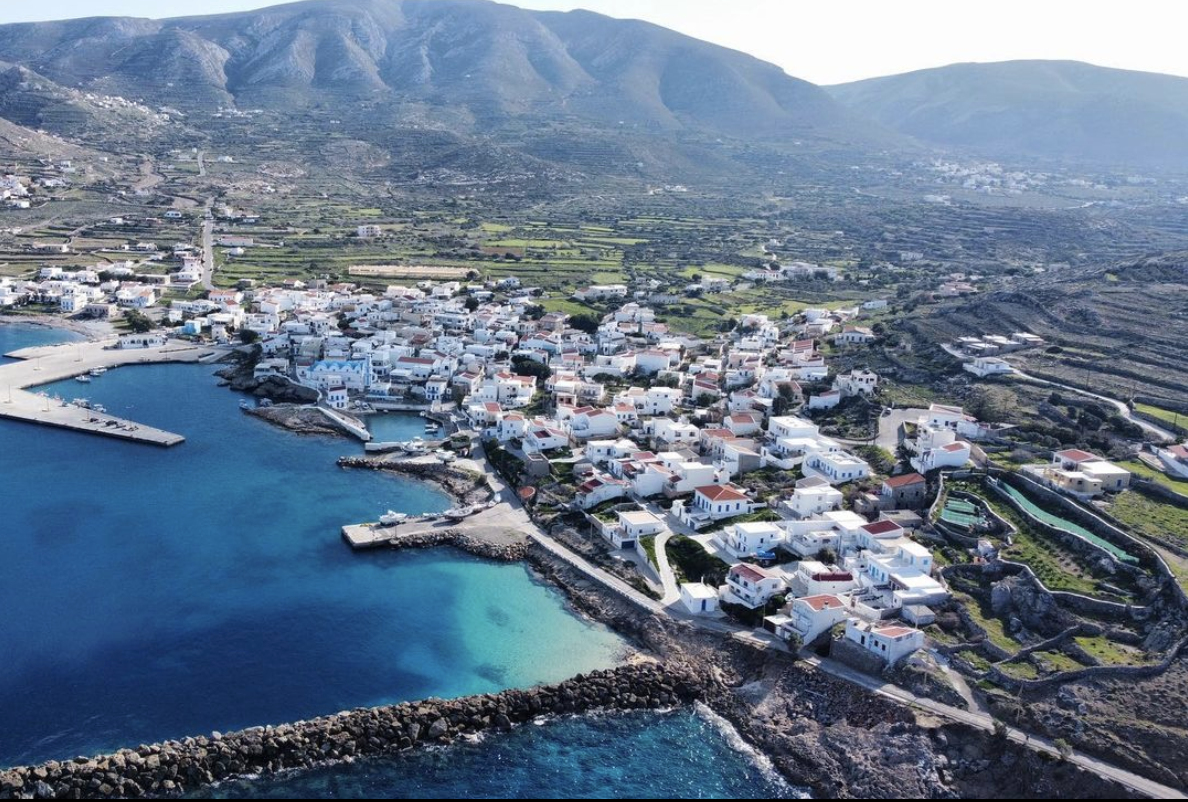 The Wedding Website of Zoe Kritikos and Vance Miceli