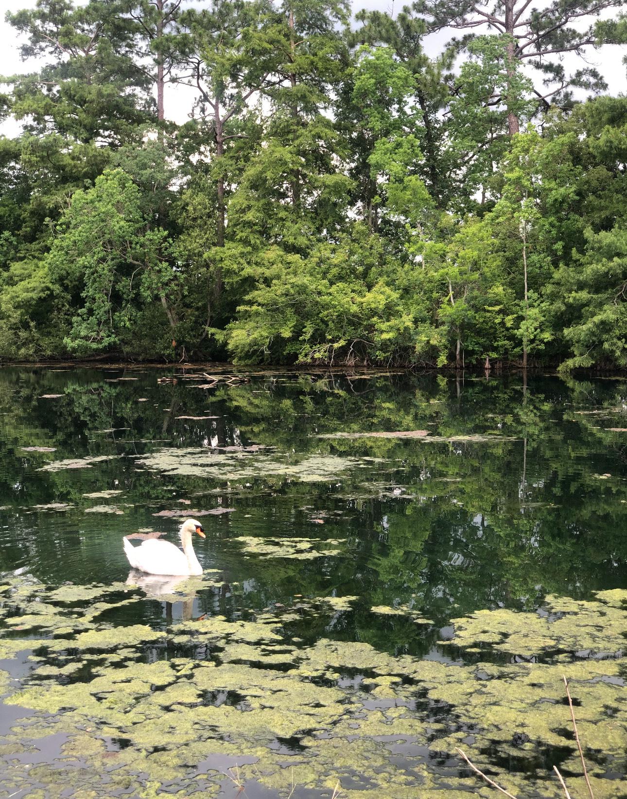 1697f043-4f92-4228-88c6-2f78768b8754