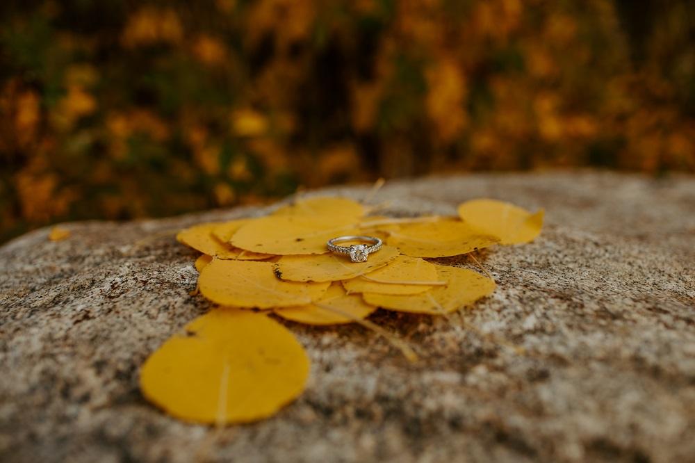 The Wedding Website of Danielle Look and Brendon Riha