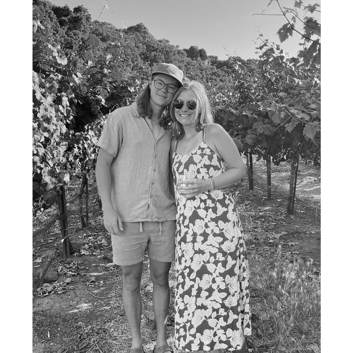 Exploring California vineyards, 2024