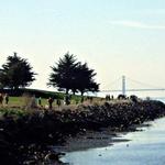 Point Isabel Dog Park