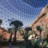 Omaha's Henry Doorly Zoo and Aquarium