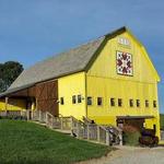 Yellow Butterfly Winery