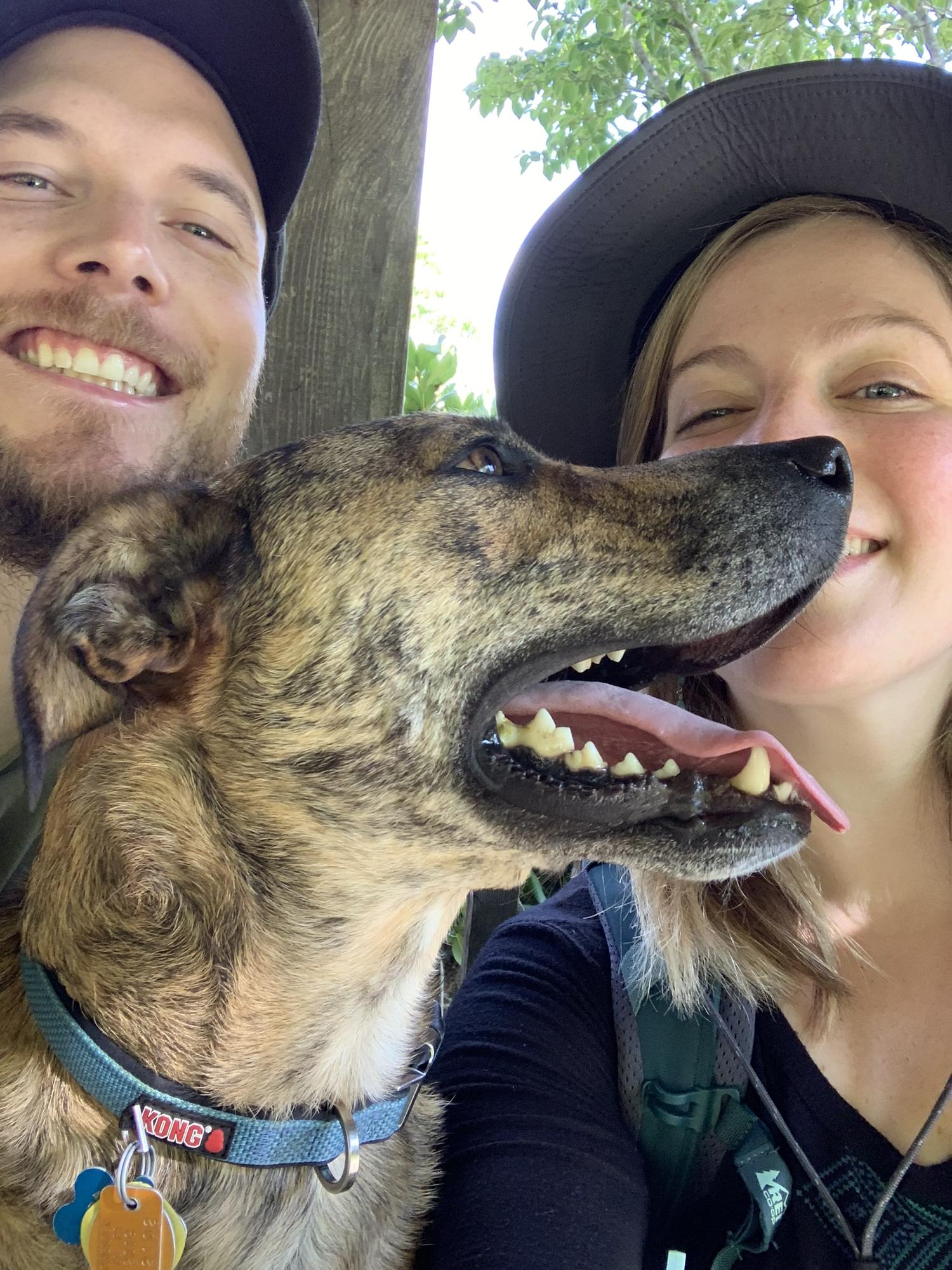 On a visit to the arboretum in Asheville, NC