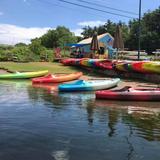 Kayak & Sup Rental
