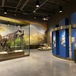 McPherson Museum & Arts Foundation