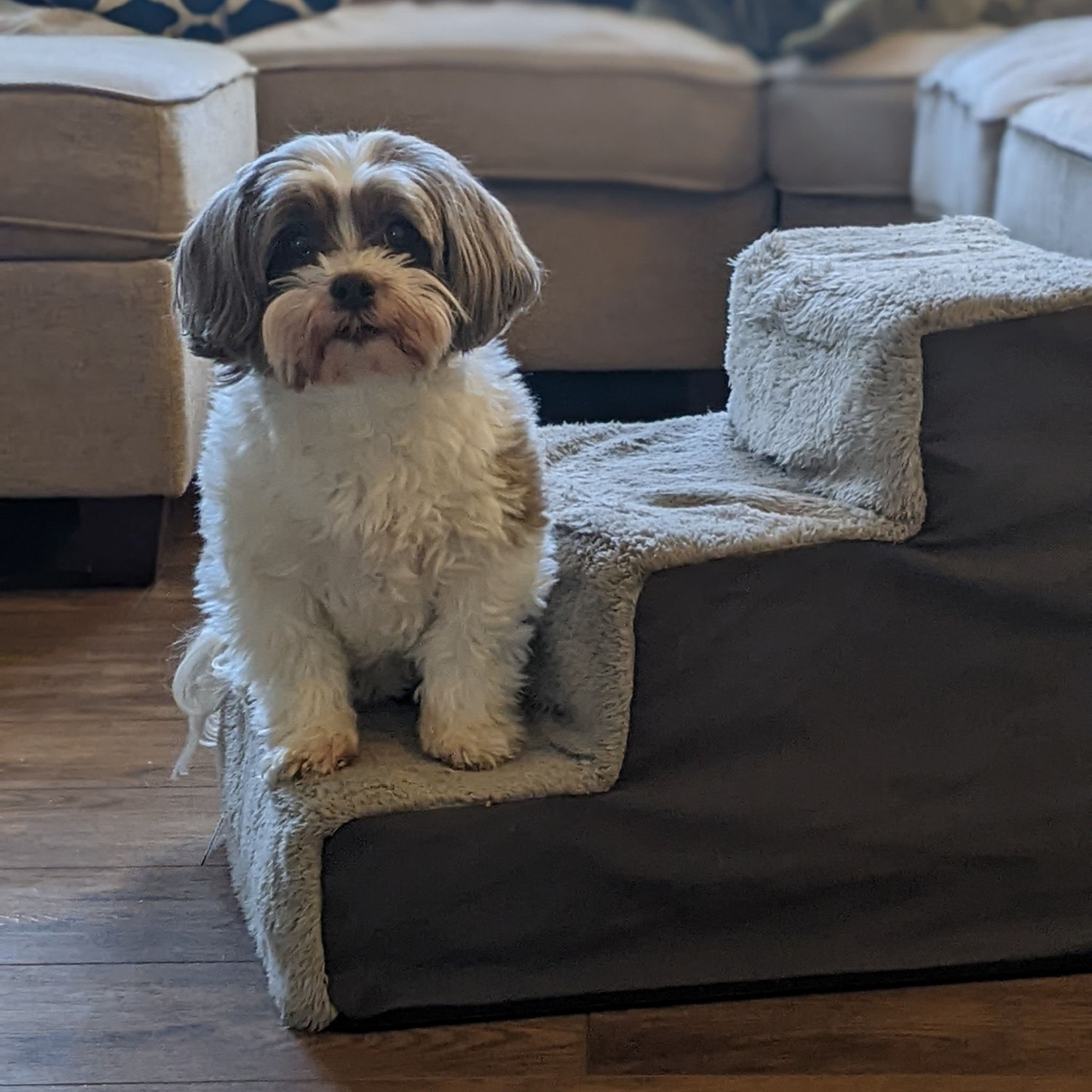 The queen on the steps to her throne