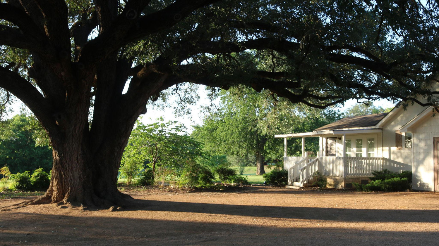 The Wedding Website of Kaden Mier and Savanna Silva