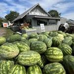 Krupski Farm