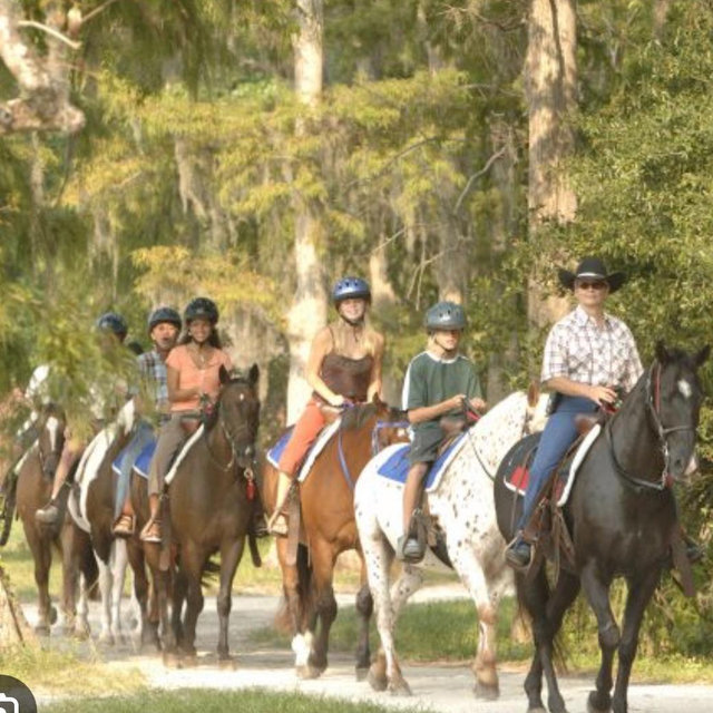 Horseback Riding On Our Honeymoon
