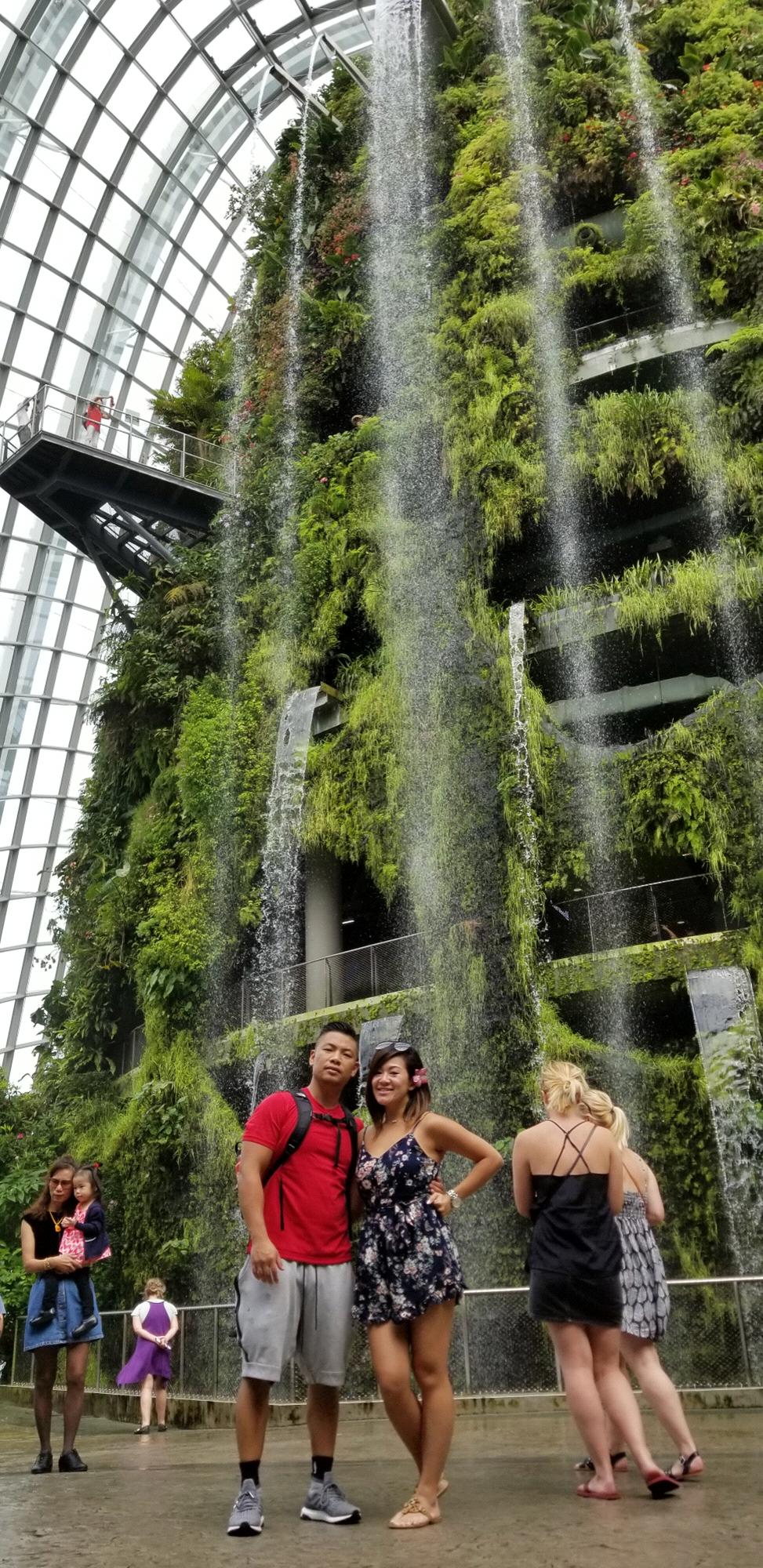 Cloud Forest, Singapore