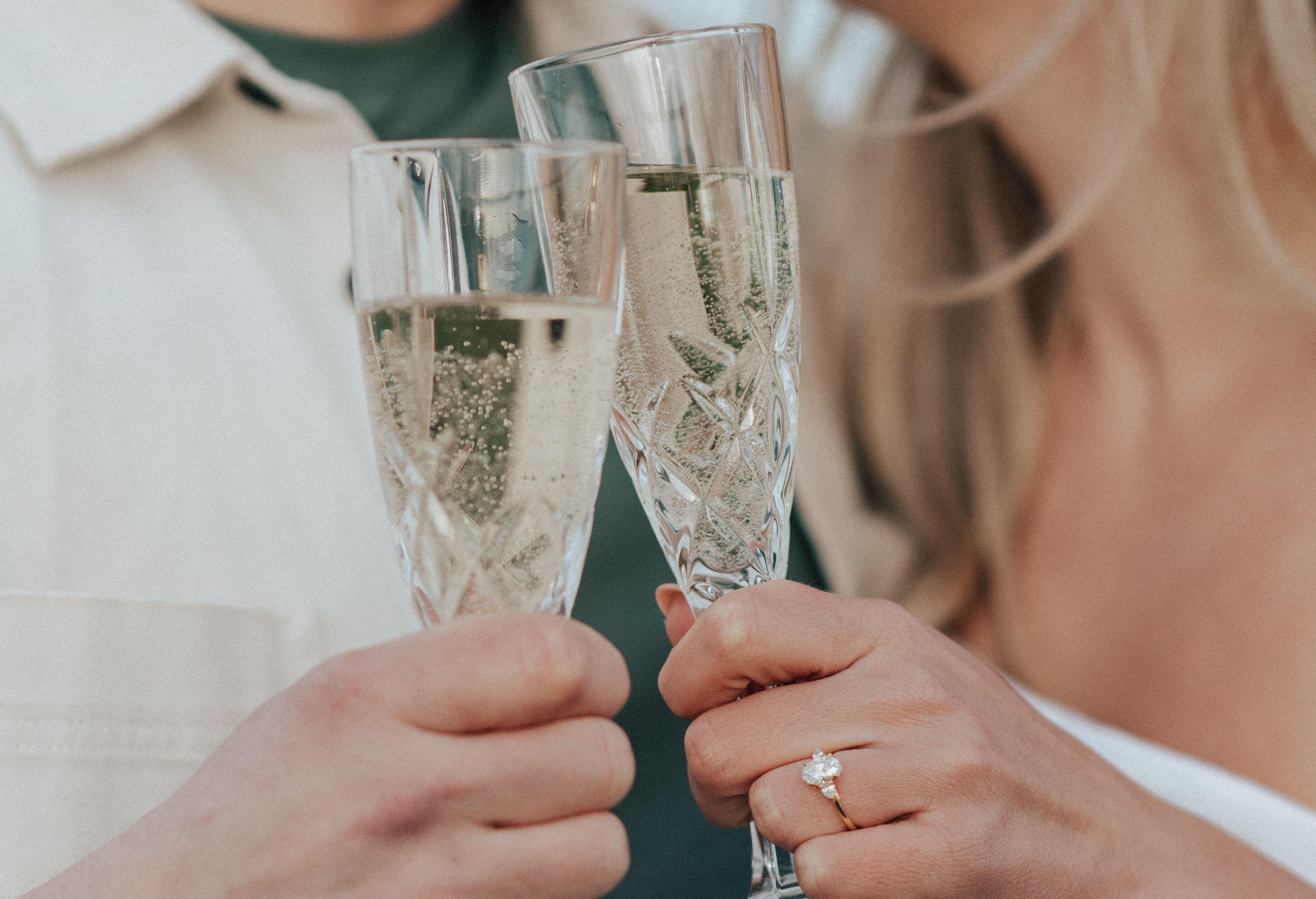 The Wedding Website of Sarah Hoyt and Lucas MacInnis