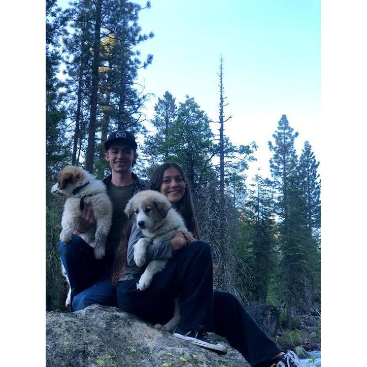 First camping trip together with our pups.