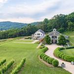 Pippin Hill Farm & Vineyards