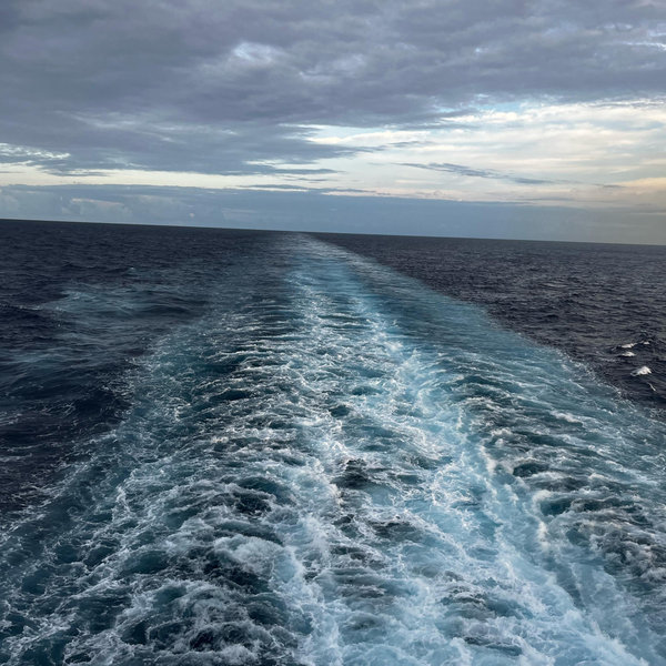 Whale Watching