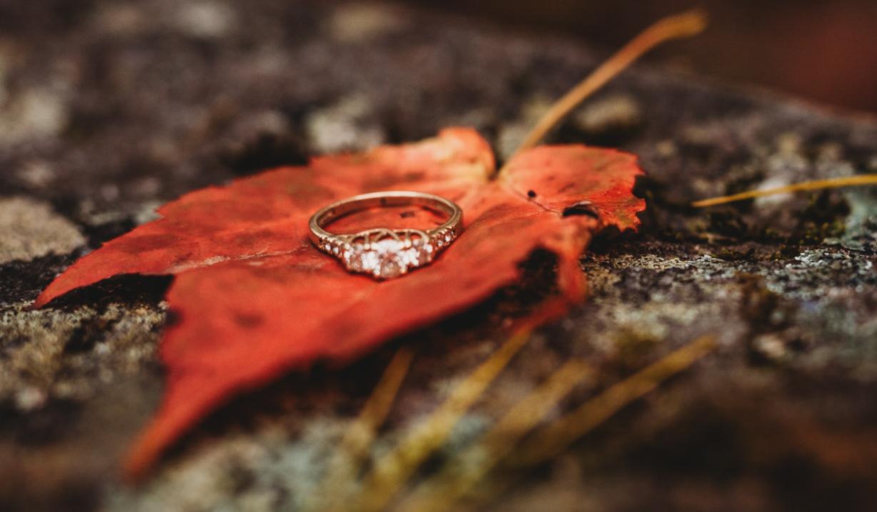 The Wedding Website of Lauren Mitchell and Matthew Reed