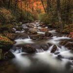 Jones Gap State Park