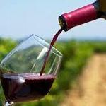 Priority Wine Tasting Pass