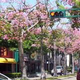 Downtown Fullerton