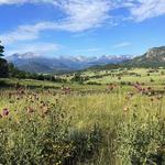 Estes Park