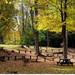Mead Park Assoc