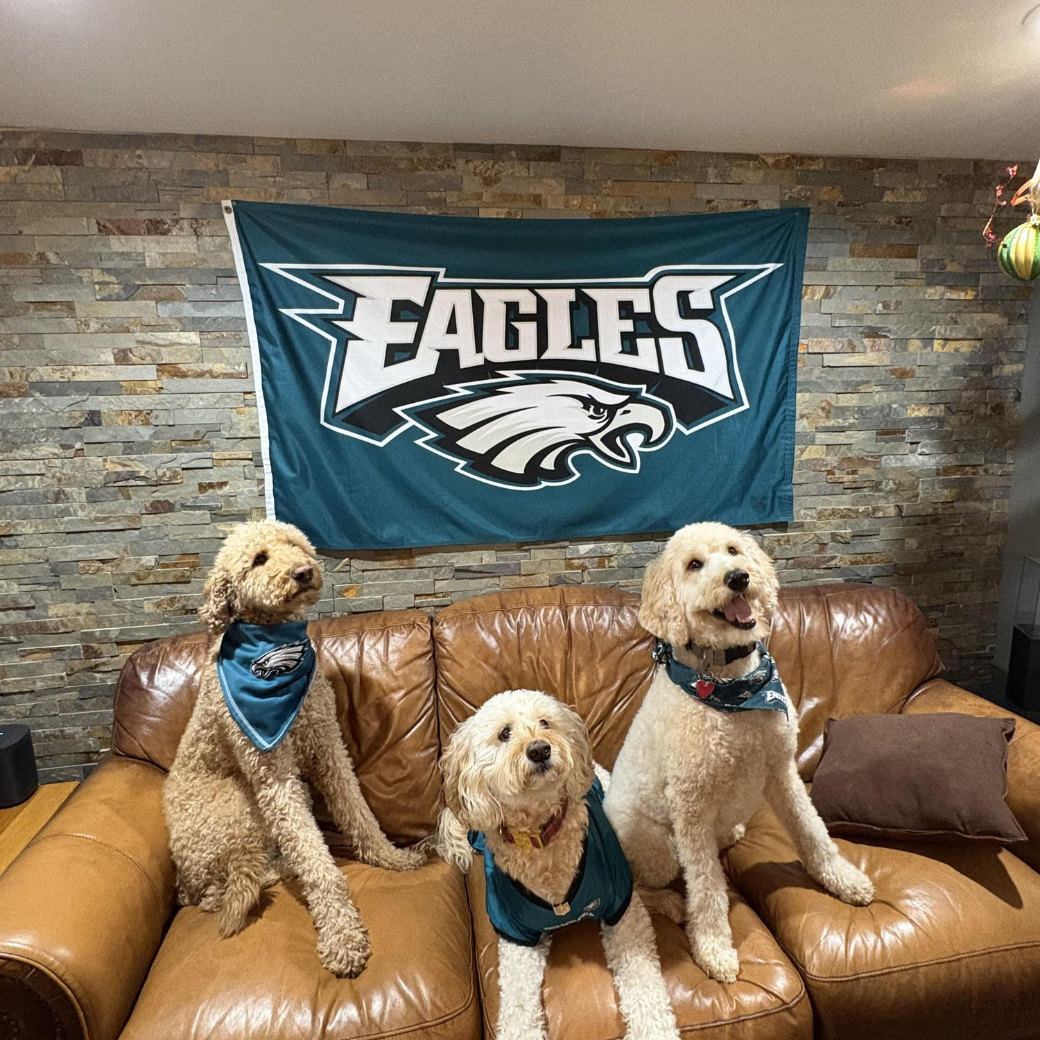 Fly Eagles Fly