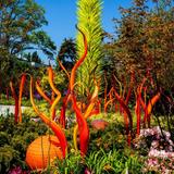 Chihuly Garden and Glass