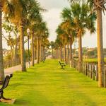 Old Village & Pitt Street Bridge