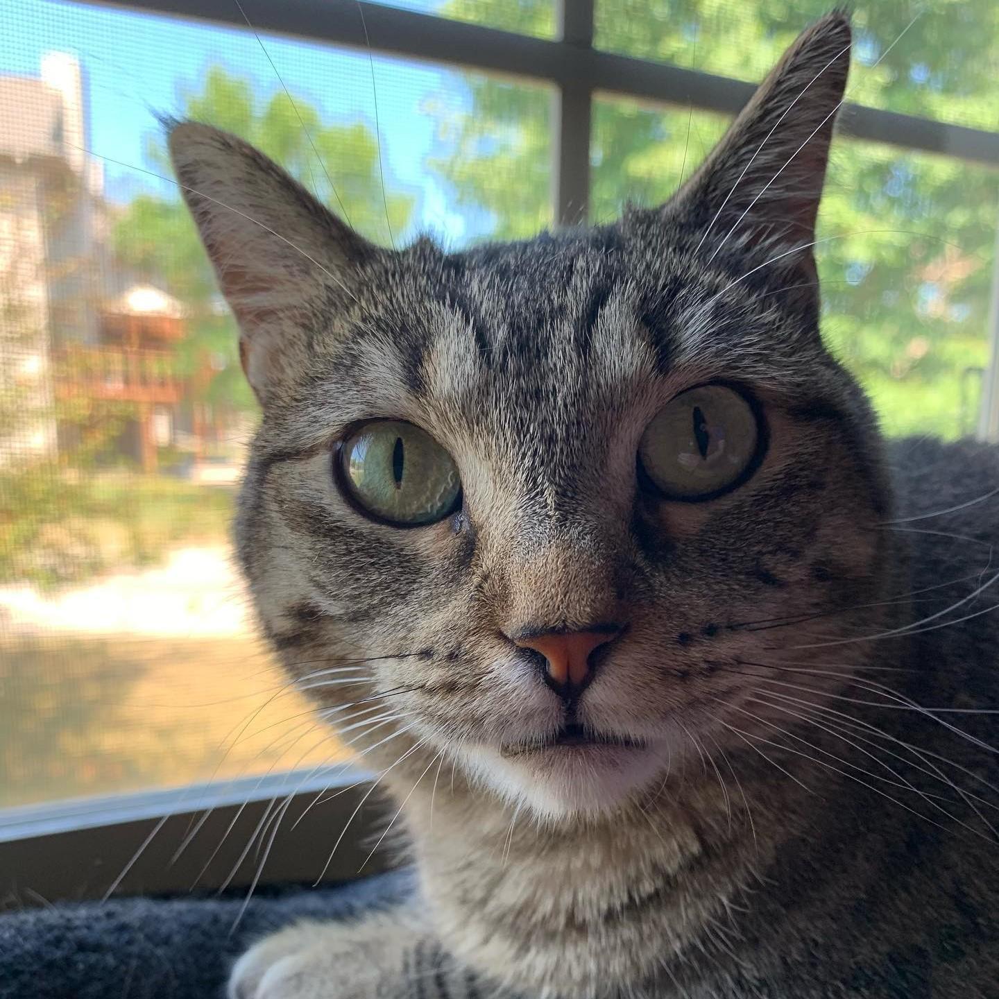 Ruth having a staring contest and winning.