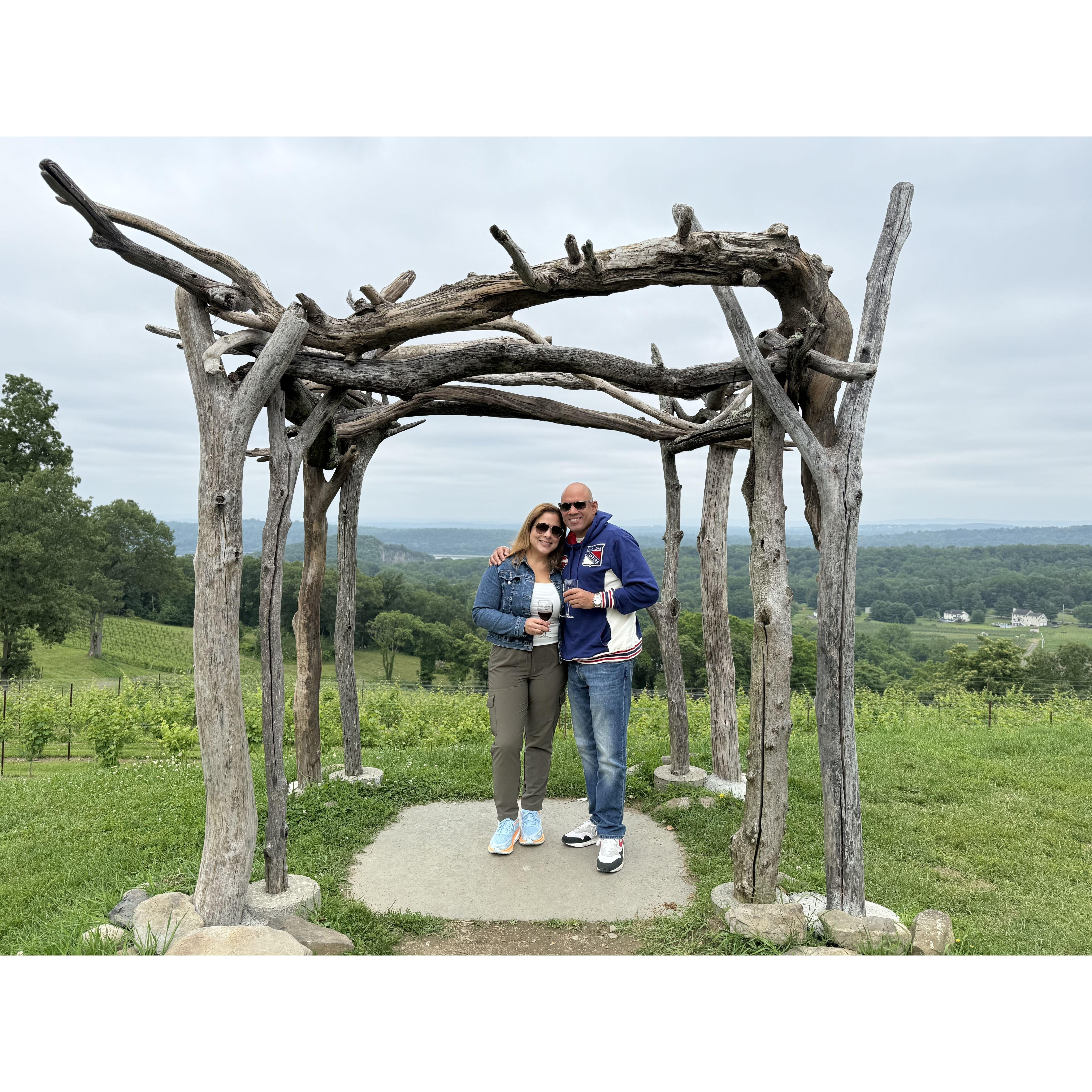 Vineyards on the Hudson